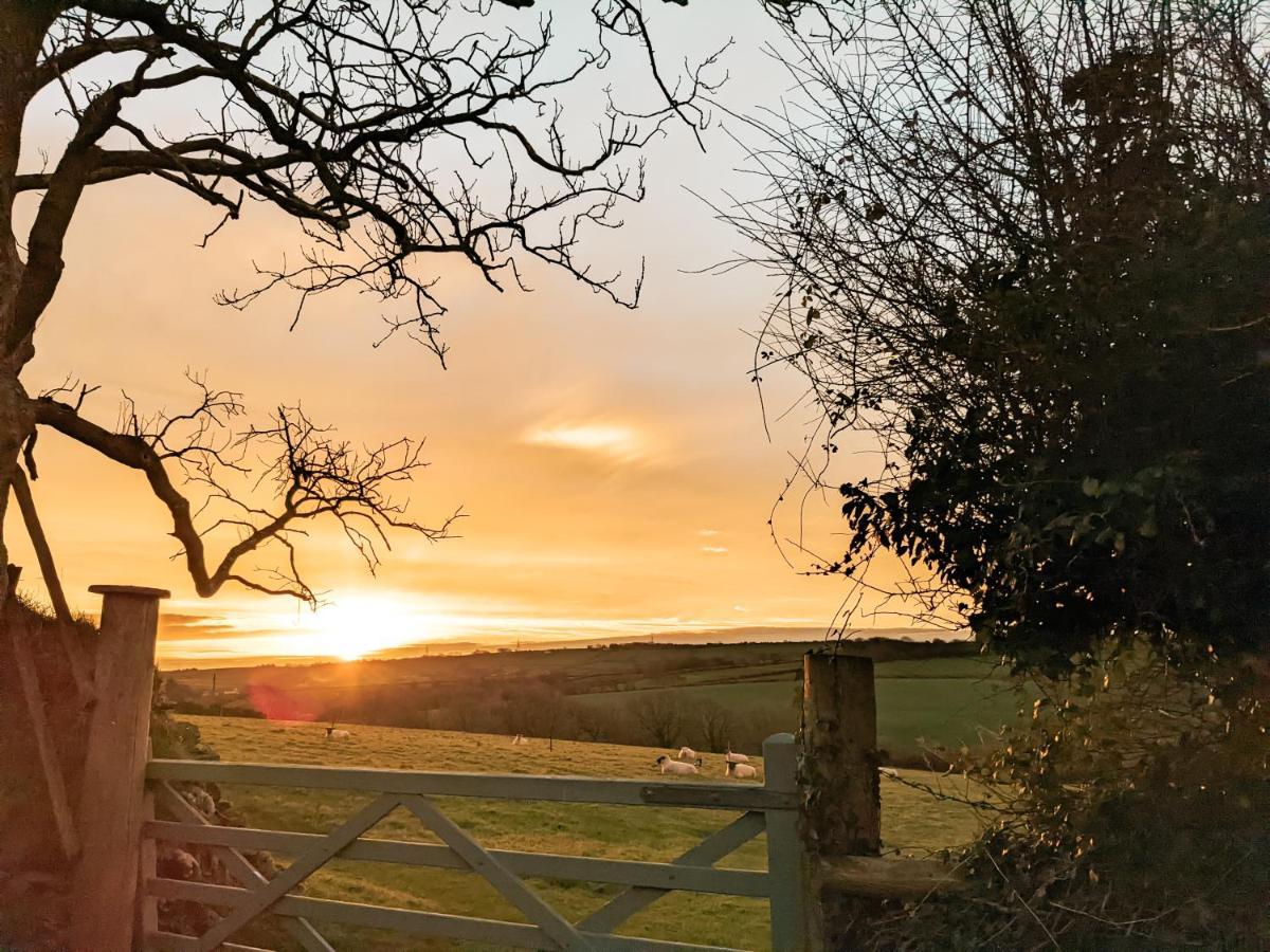 Immaculate Bell Tent Retreat North Devon ビディフォード エクステリア 写真