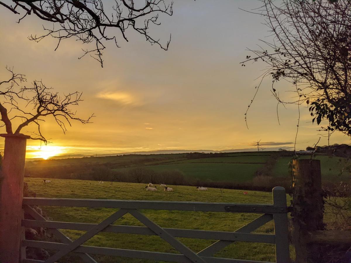 Immaculate Bell Tent Retreat North Devon ビディフォード エクステリア 写真