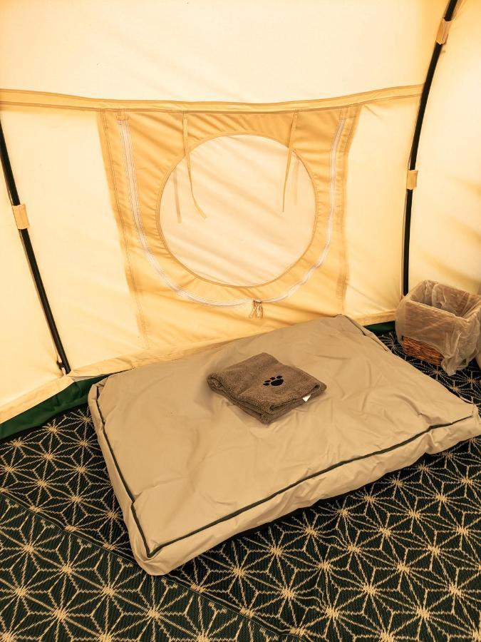 Immaculate Bell Tent Retreat North Devon ビディフォード エクステリア 写真